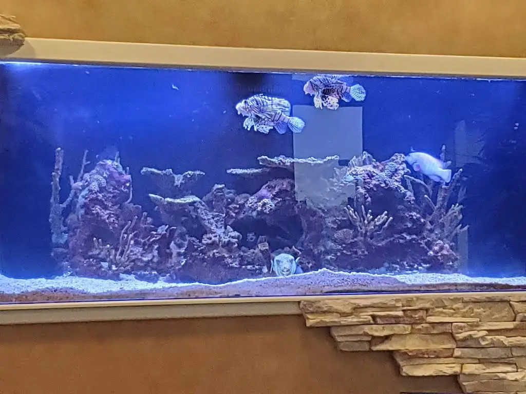 Island Dental Center of Summerlin