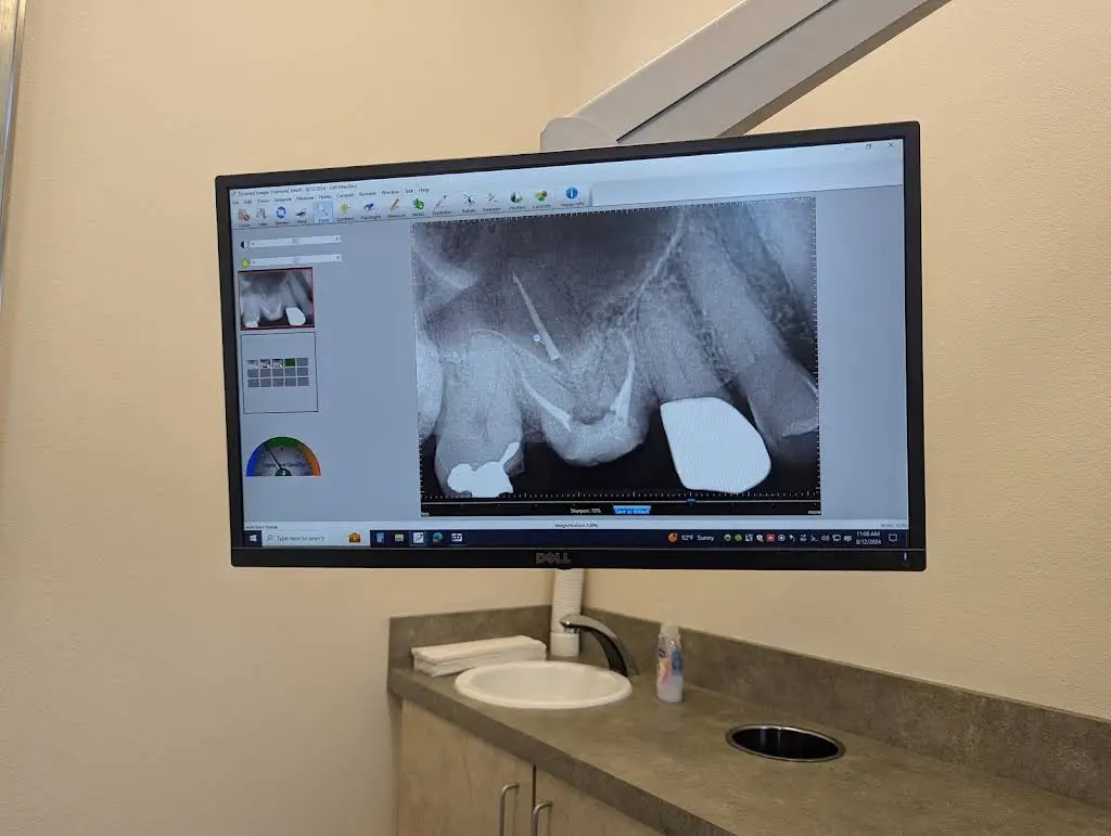 Fife and Steffen Endodontics