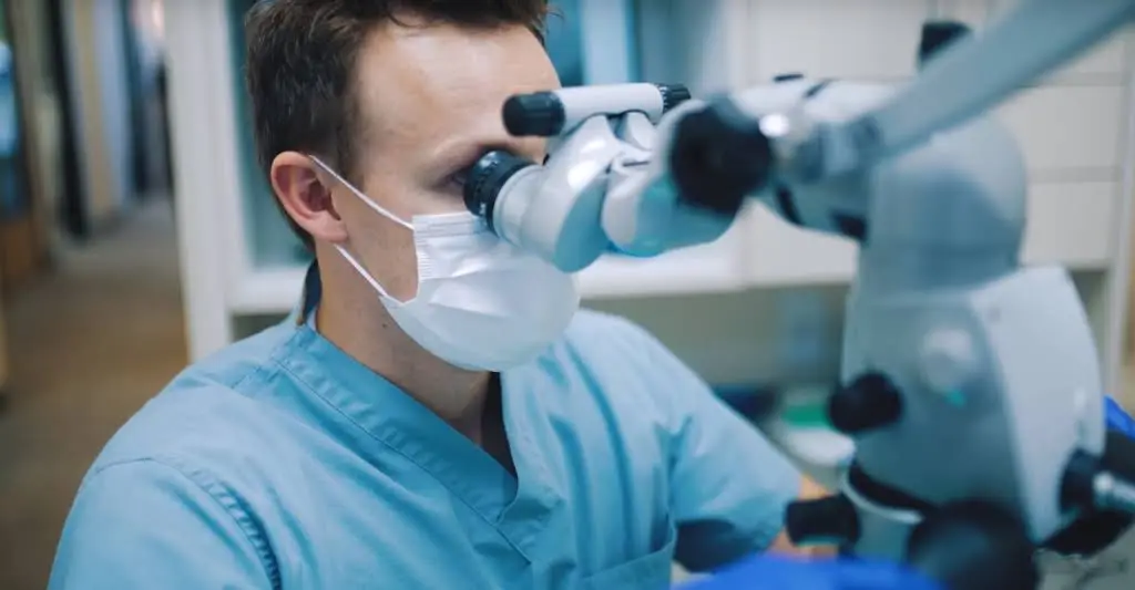 Fife and Steffen Endodontics
