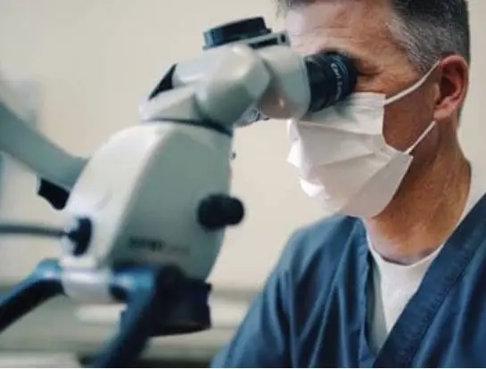 Fife and Steffen Endodontics