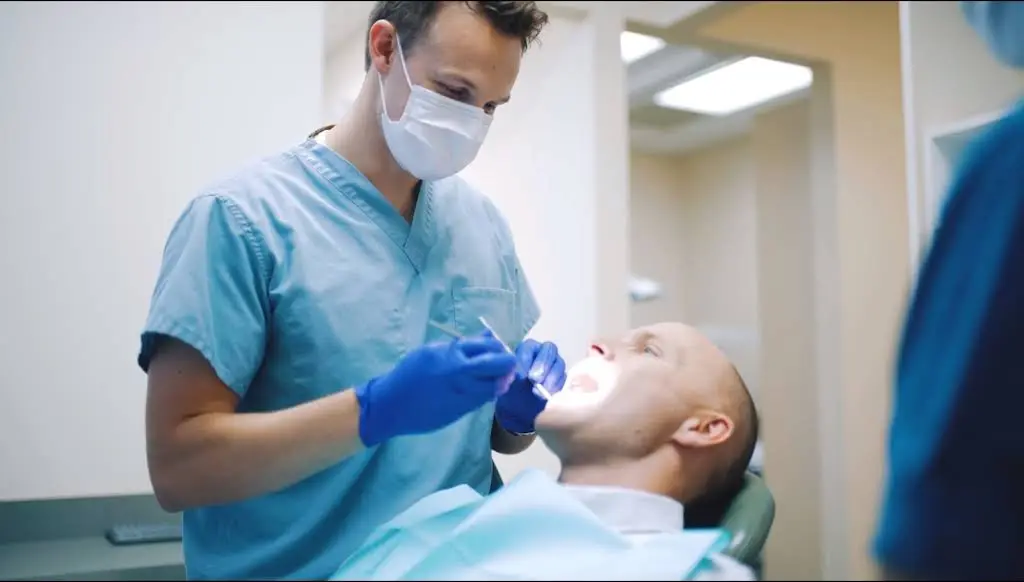 Fife and Steffen Endodontics