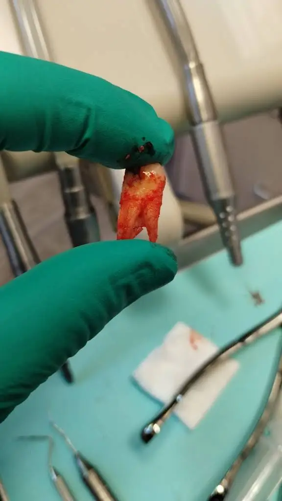 The Dentist of Summerlin