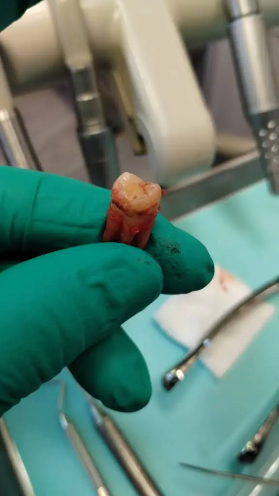 The Dentist of Summerlin