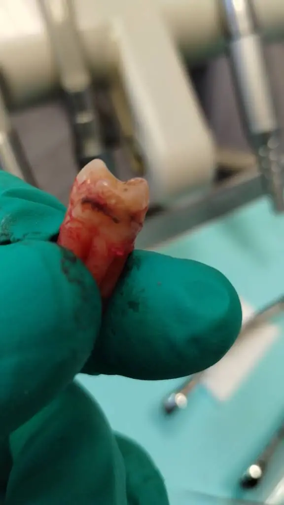 The Dentist of Summerlin