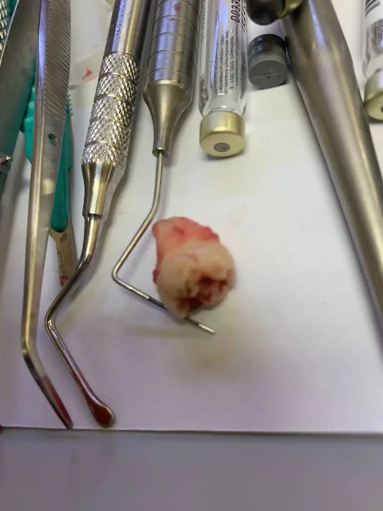 Precision Dental Care