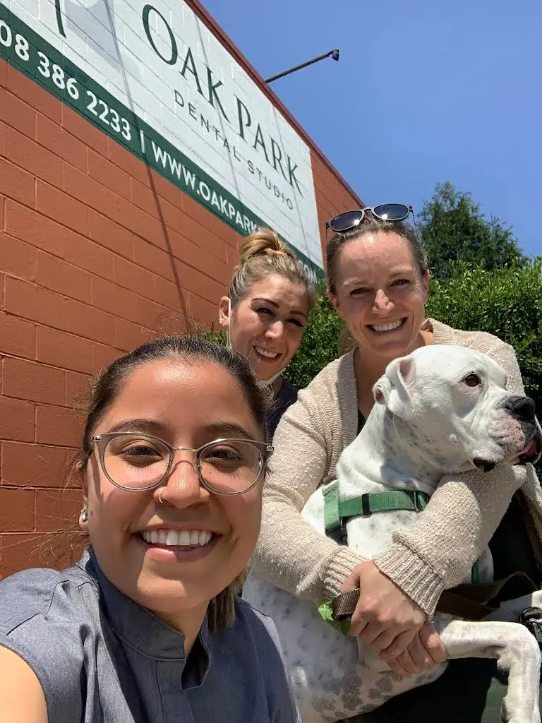 Oak Park Dental Studio
