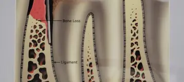 Lorlyn Dental Care