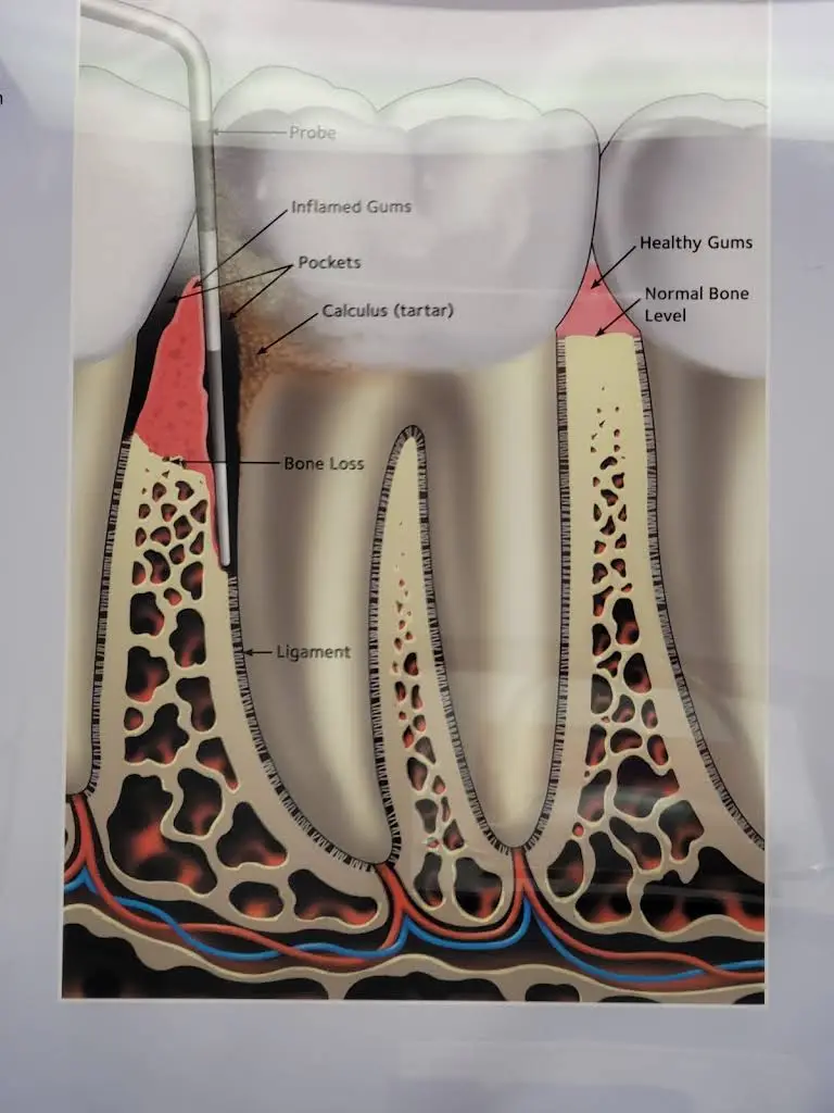 Lorlyn Dental Care