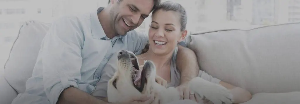 DuPage Dental Smiles