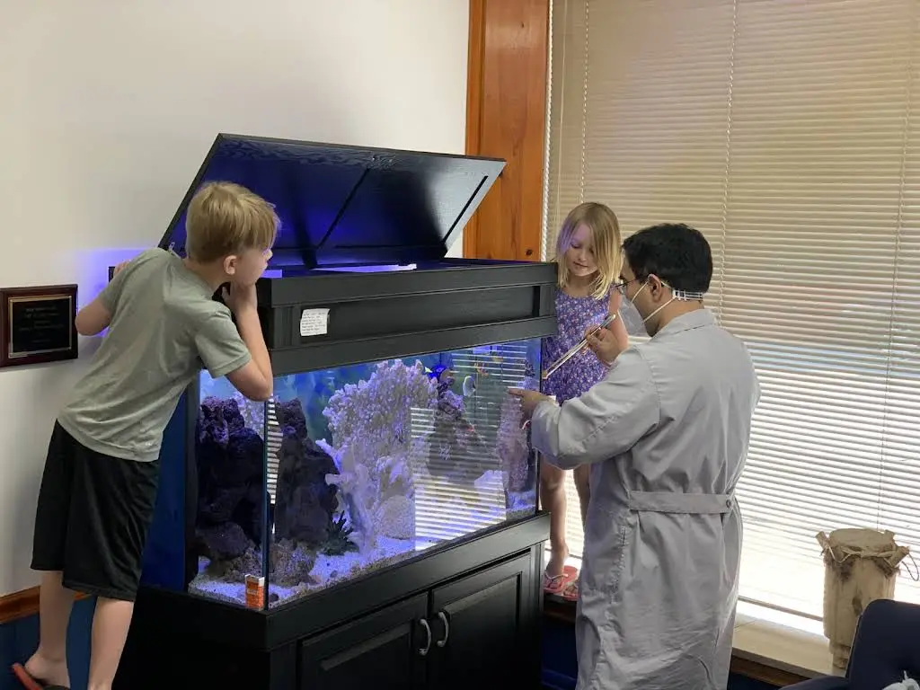 Dental Excellence Of Westmont