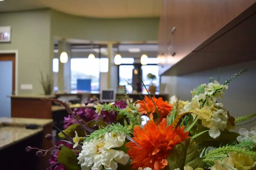 Alivio Dental - Downers Grove