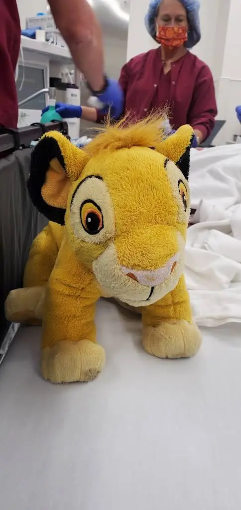 Pediatric Dentistry Asleep - Beaver County