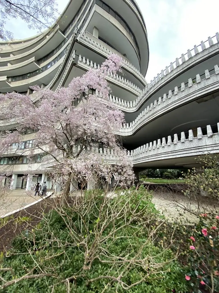 Watergate Dental Associates