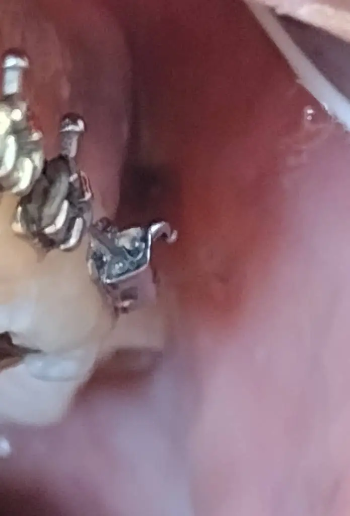 National Orthodontics