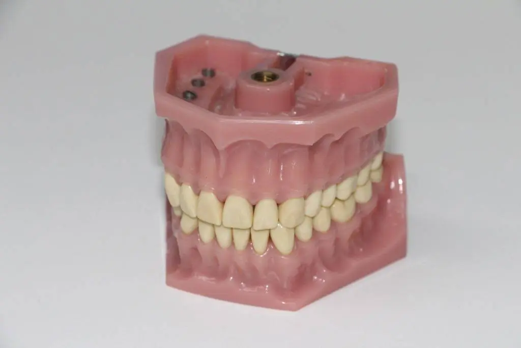 William Rice Dental