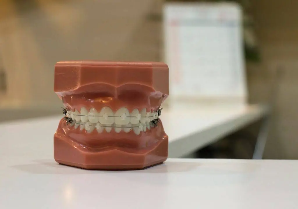 William Rice Dental