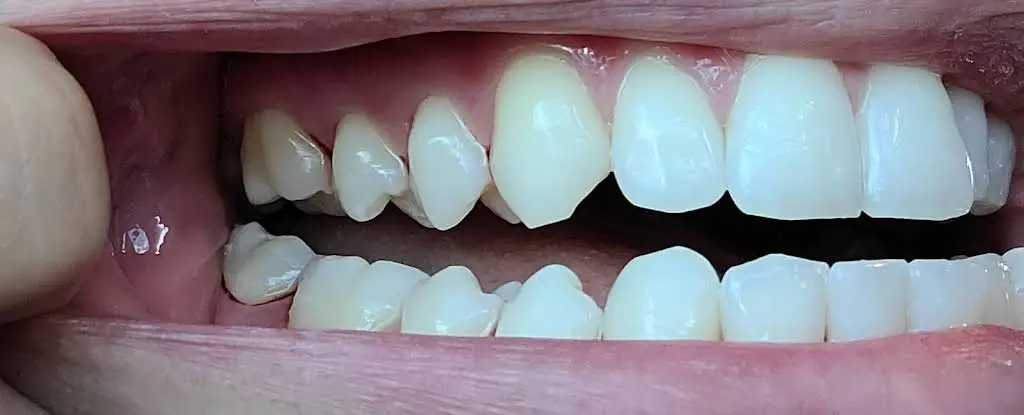 Stephanie Dental Group