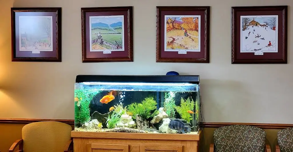 Palatine Complete Dental: Michael Unti, DDS