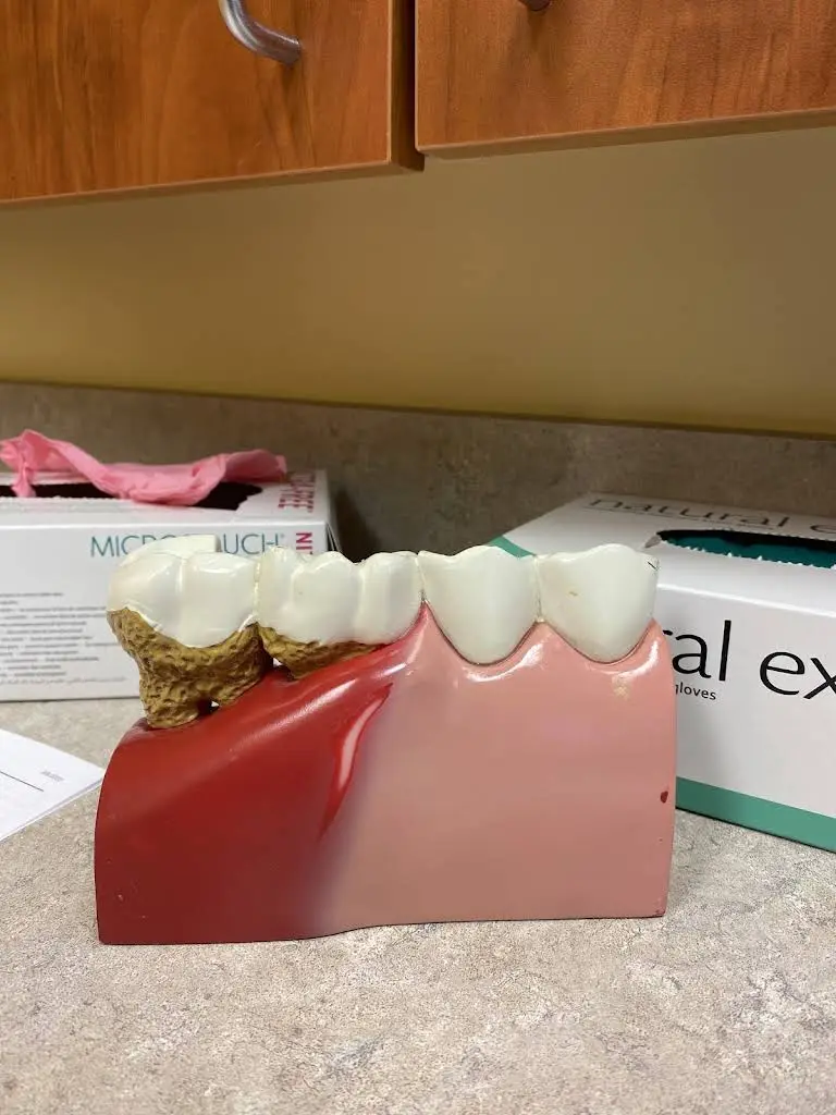 Precision Dental Care W Diversey
