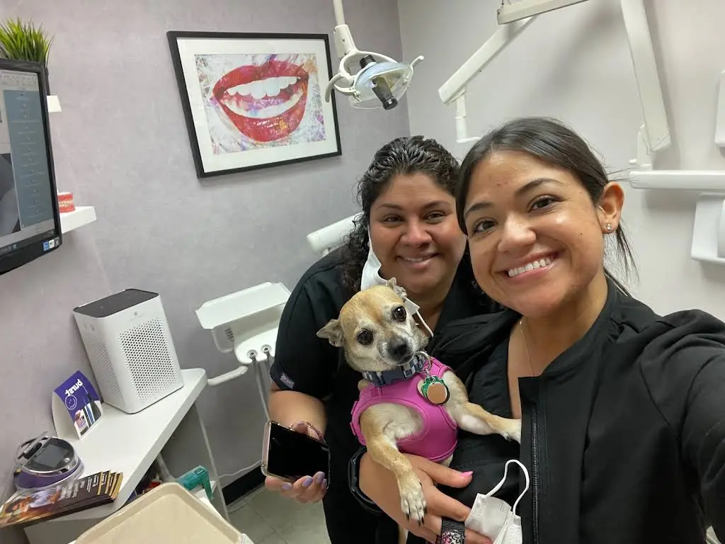 Purely Smiles Dental