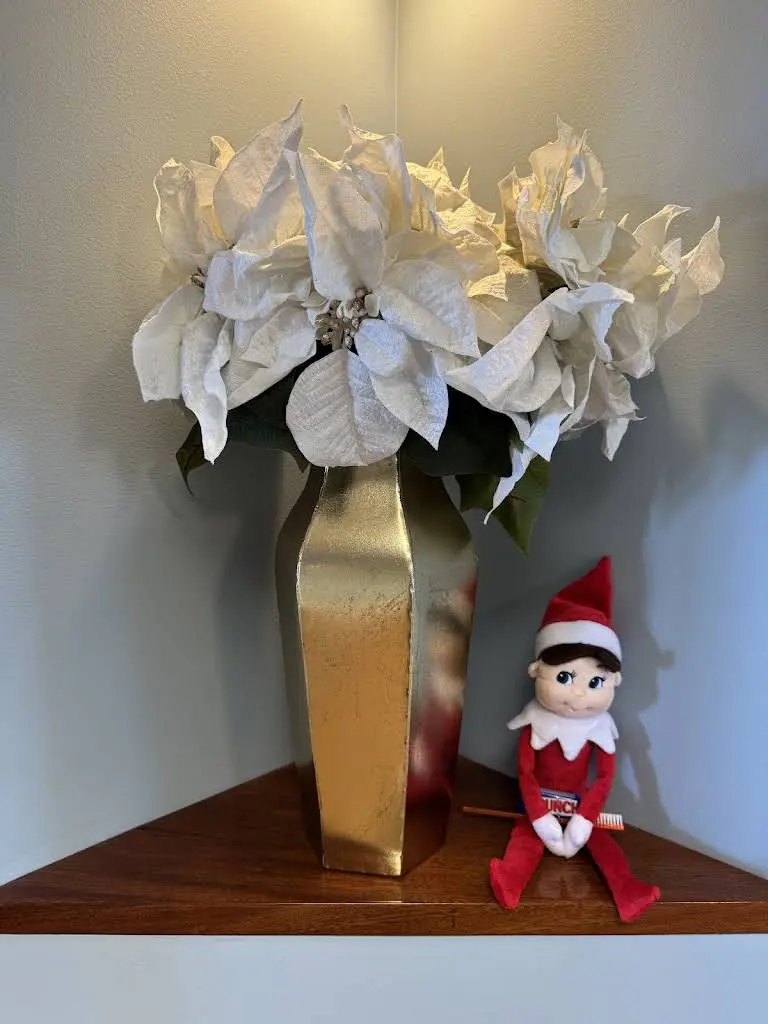 Bloomington Family Dental