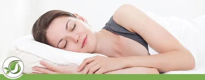 Koala Center for Sleep Disorders