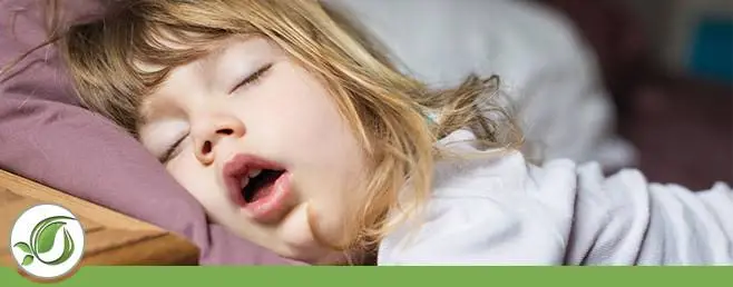Koala Center for Sleep Disorders