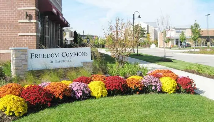 North Pointe Dental Care