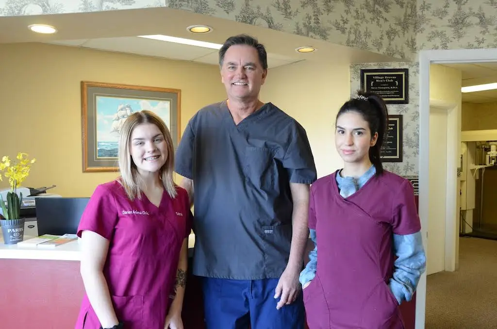 Stempora Dental Care