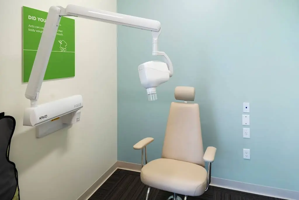 My Kid's Dentist and Orthodontics