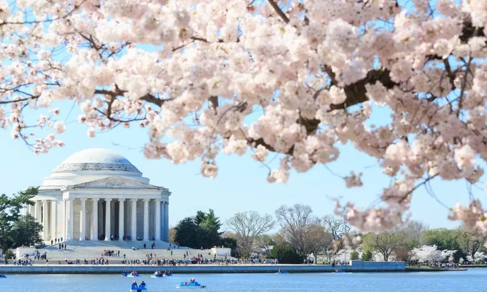 W Plus Dental of Washington DC