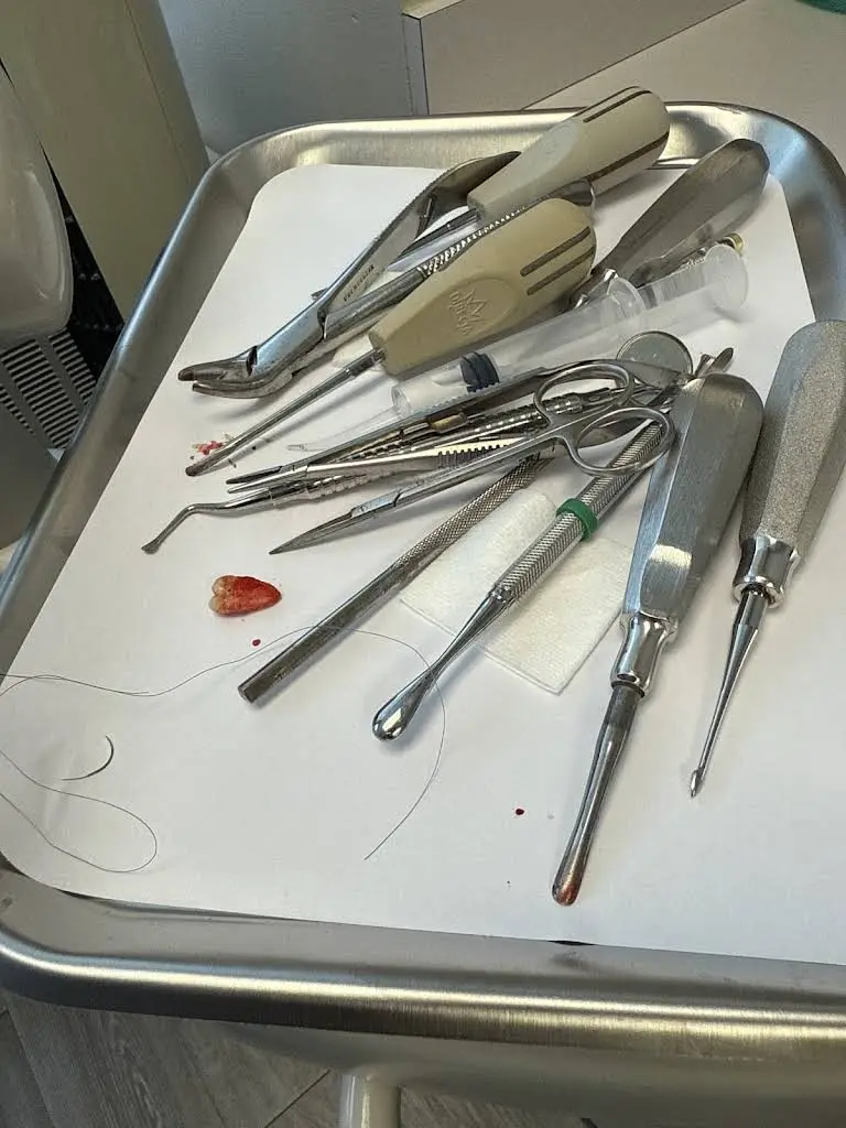 Ingber Dental
