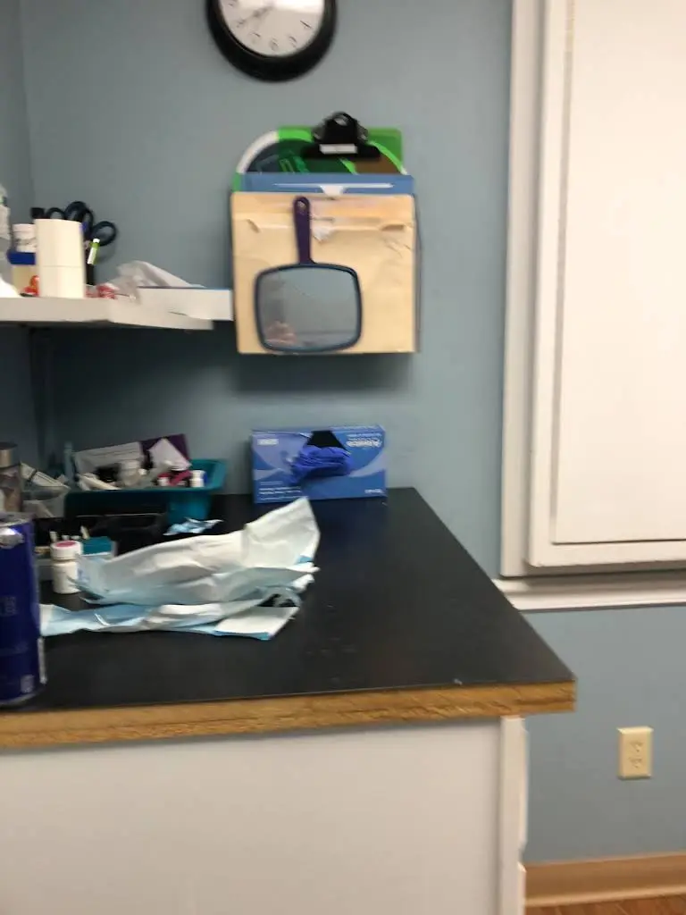 Wilson Martino Dental of Morgantown