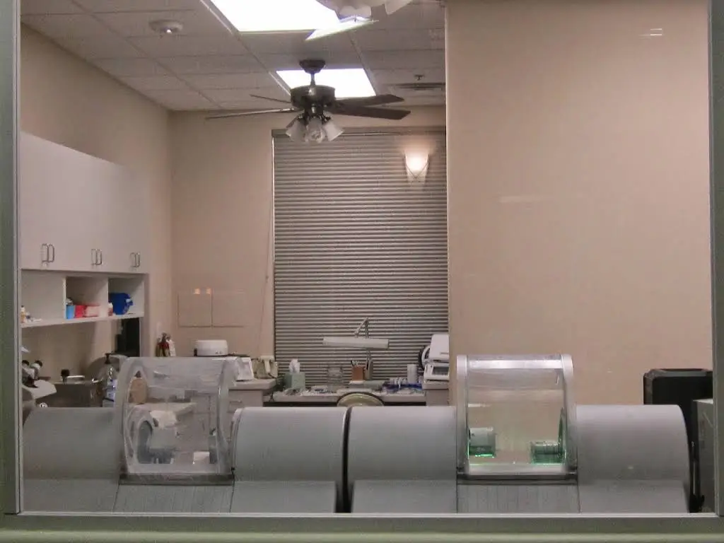 Kenneth Hill DDS