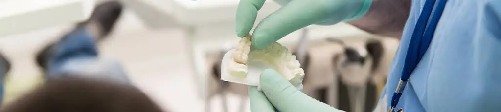 A+ Dental Group