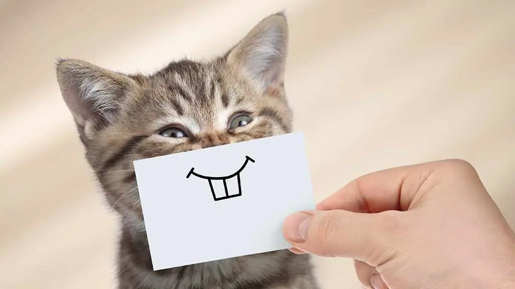 Smile! Dental