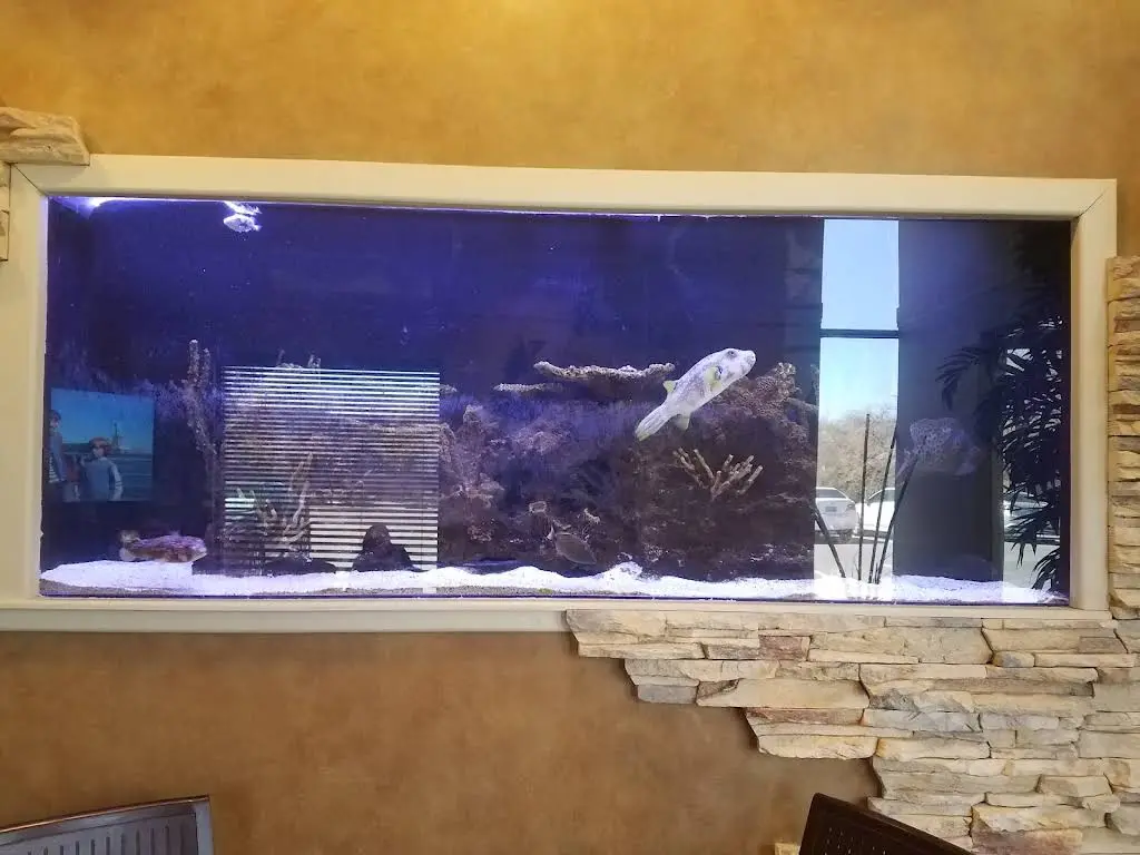 Island Dental Center