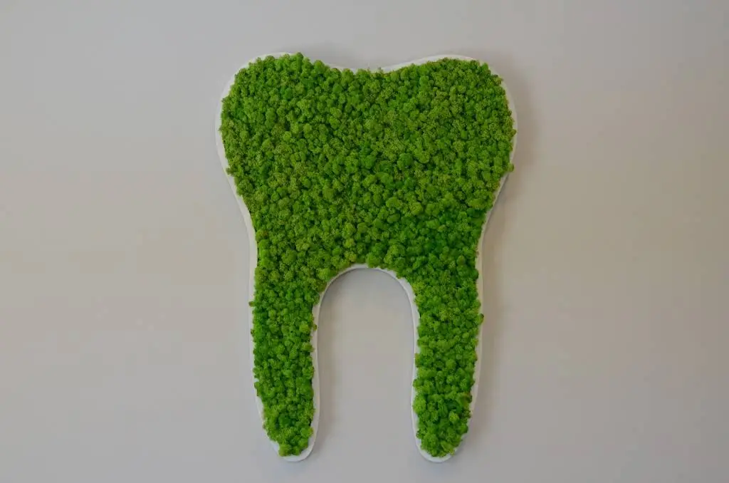 Twin Dental