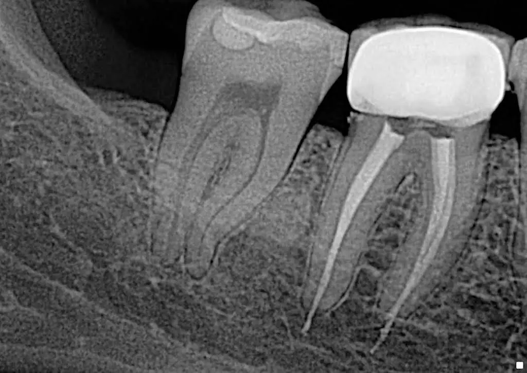 Mary E. Gregory DDS Family Dentistry