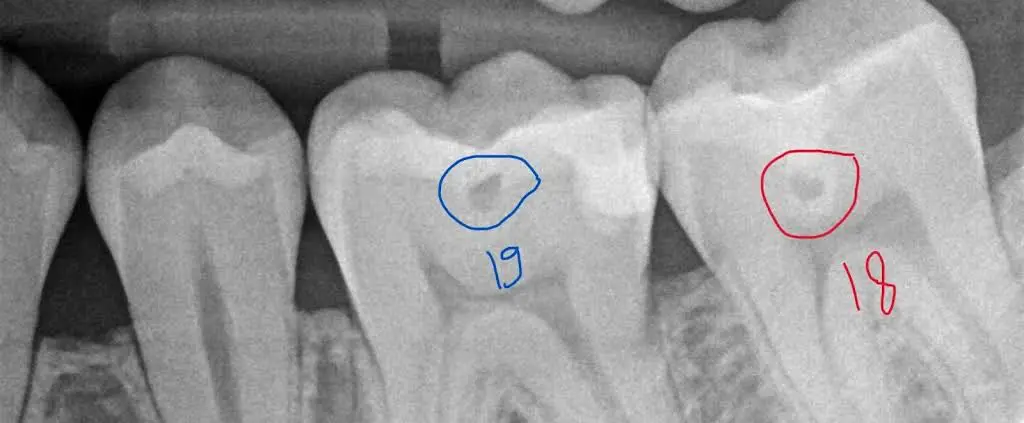 MCHD Dentistry