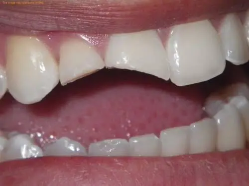 The Kids' Dental Office of Henderson and Orthodontics
