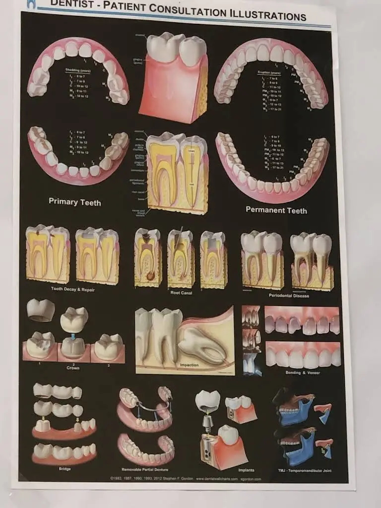 Dental Dreams-Cermak