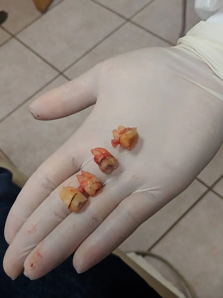 American Dental