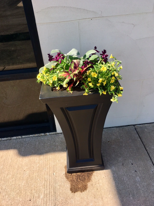 Oak Street Dental North Aurora