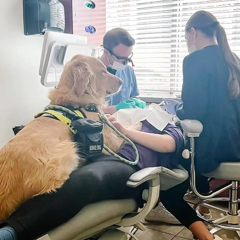Adaven Children's Dentistry