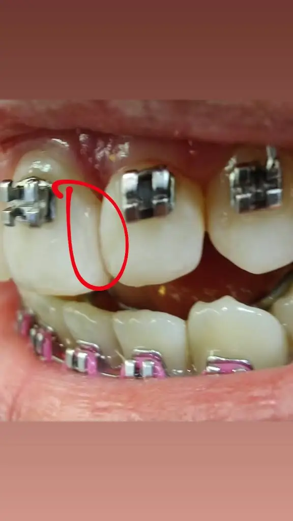 Children's Dentistry Foundation