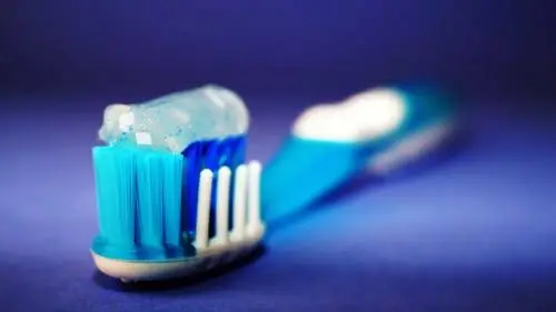 Palisades Dental