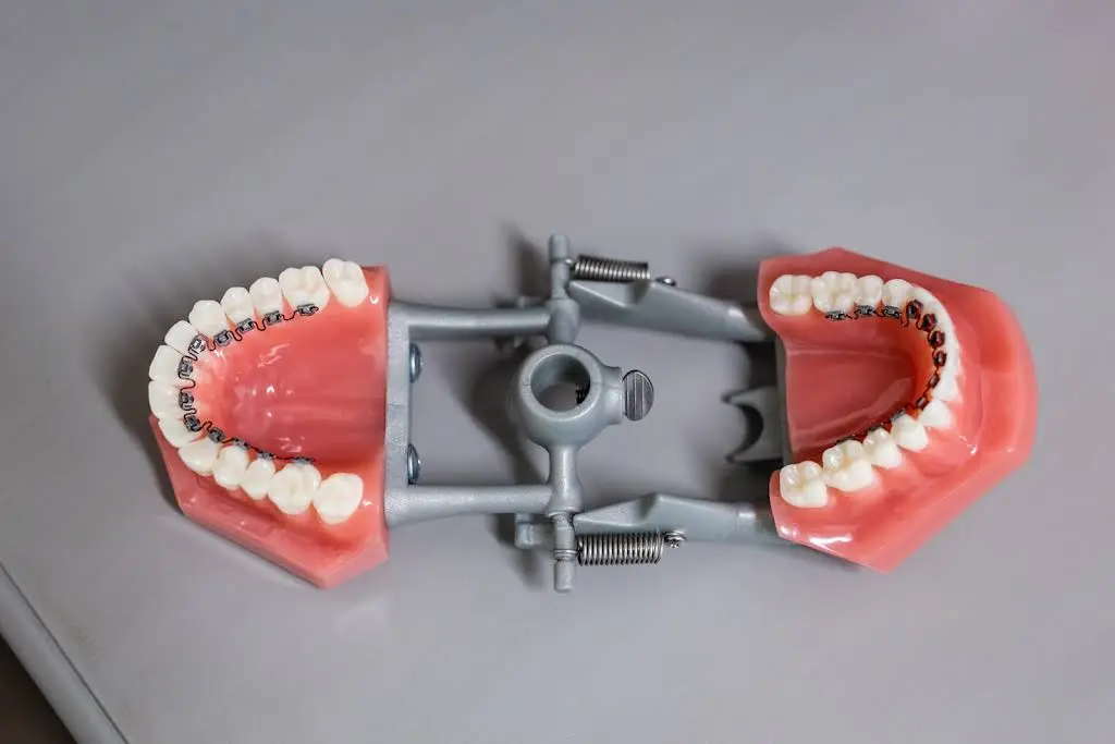 Harris Orthodontics - Highland