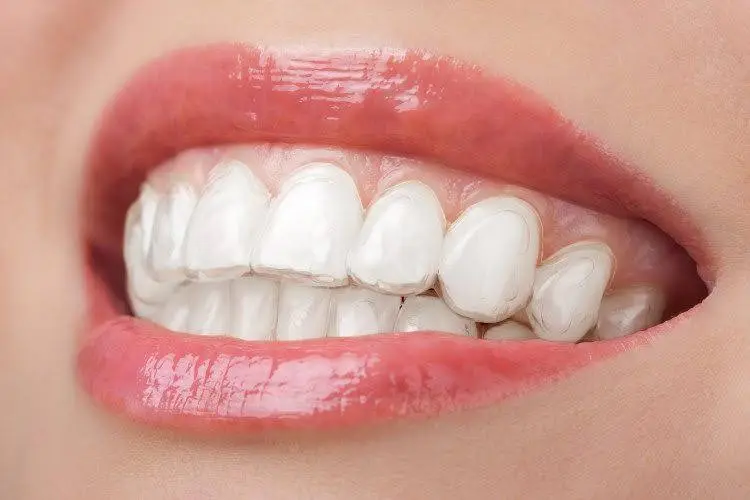 Forbes Orthodontics