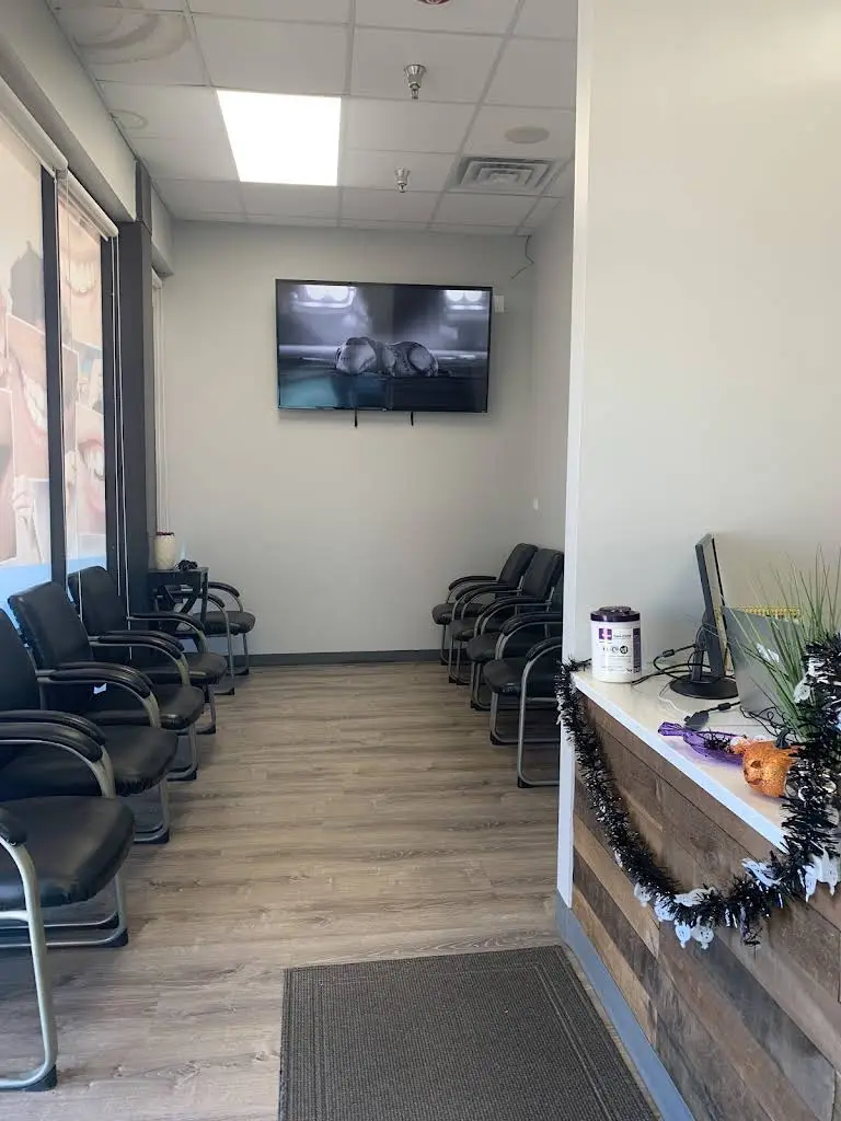 Bright Dental Palatine